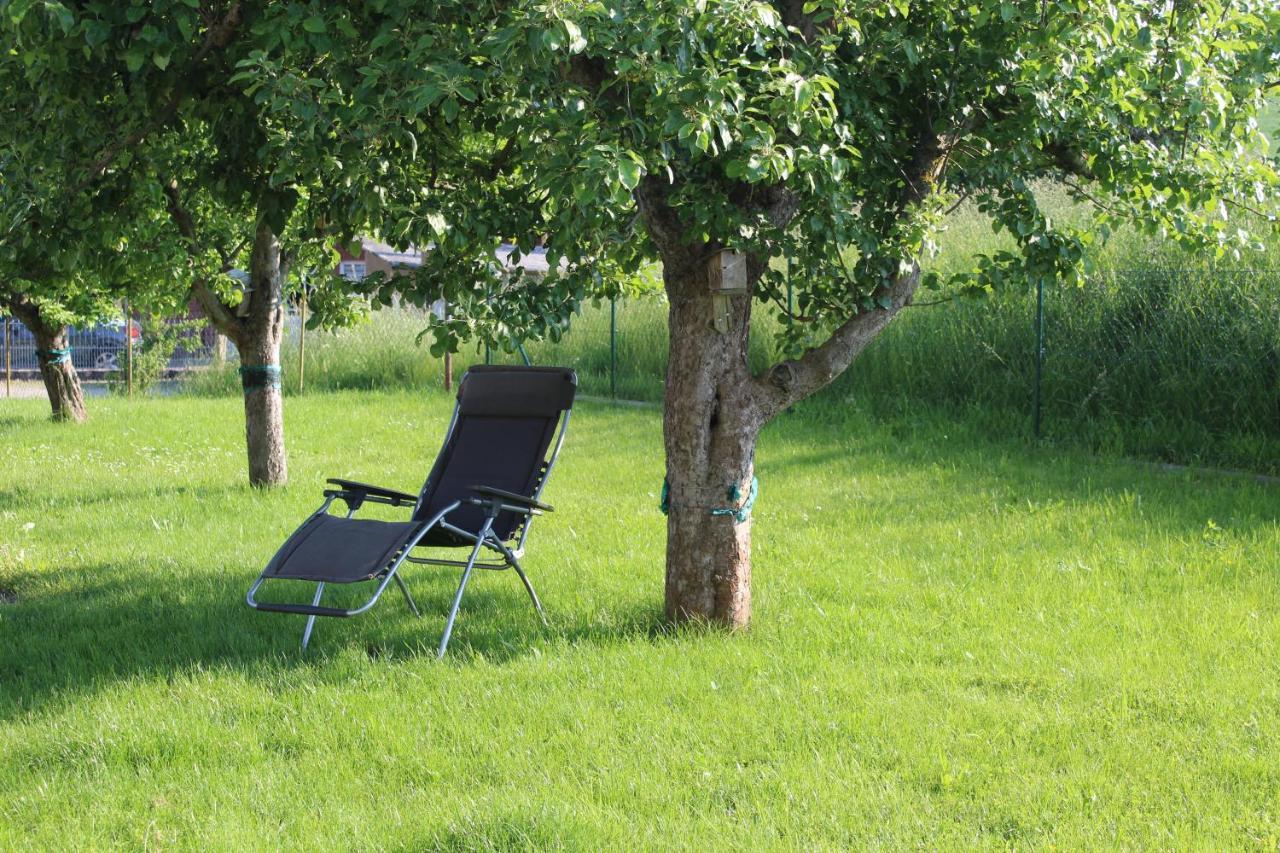 Ferienwohnung Am Kugelbaum Lunzenau Exteriér fotografie